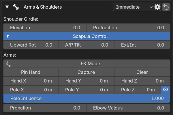 Arm IK interface