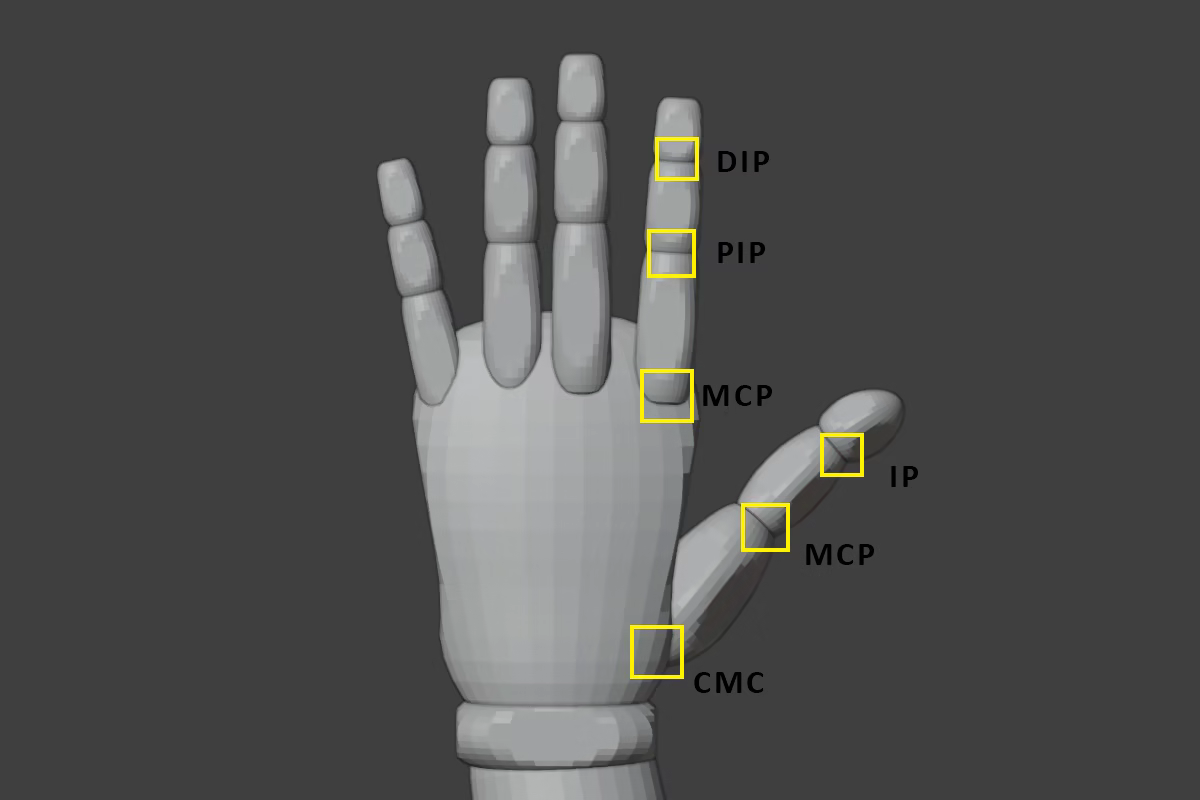 Joint terminology